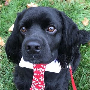 Meet your Posher, Janis